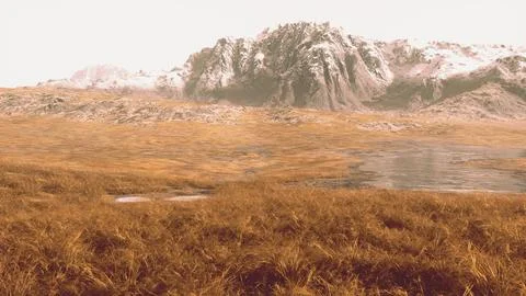 Rocky desert landscape with sparse vegetation and mountains peaks Illustrazione stock