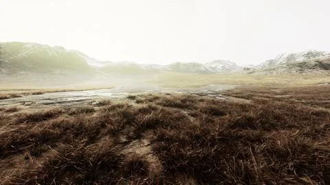 Rocky desert landscape with sparse vegetation and mountains peaks 스톡 일러스트