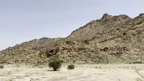 Rocky Desert Mountain Landscape with Sparse Shrubs Vídeo Stock 327860502