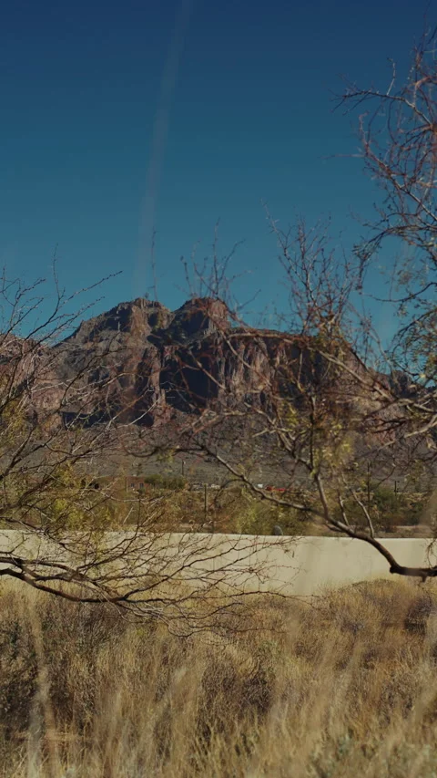 Rocky desert mountain through bare branches vertical Arizona Stock-Footage 347967940