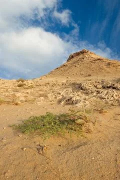 Rocky Desert Stock Photos