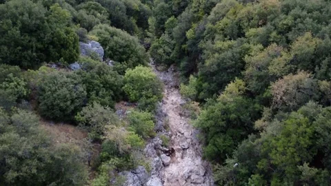 Rocky dry river path surrounded by Mediterranean plants in Greece Stock Footage 321533741