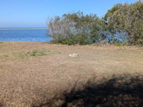 A rocky firepit overlooks the Klamath River meeting the ocean Stock Photos