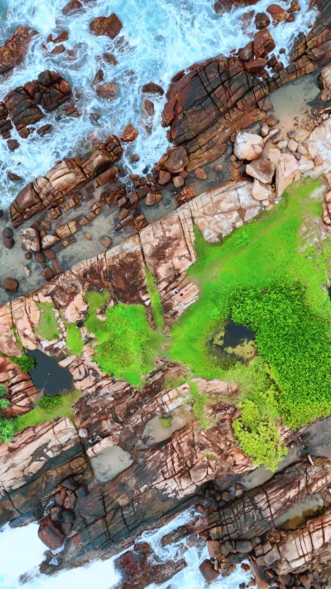 Rocky flat beach in the Indian Ocean. Some green lichens Stock Footage 289726488
