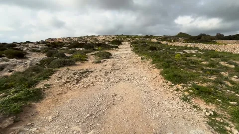 Rocky footpath garrigue scrubland limestone plateau malta wildflowers dry stone Видео 343679902