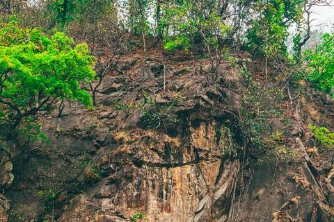 Rocky Forest Cliff Stock Photos