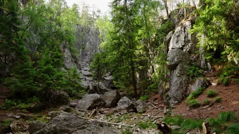 Rocky forest cliffs surrounded by pine trees in Devil's Nest, Lahti, Finland Stock Footage 298025893