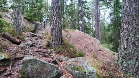 Rocky Forest Path with Exposed Roots and Handrail Video stock 347681857