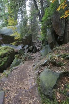 Rocky forest path winding through mossy boulders and autumn foliage Stock Photos