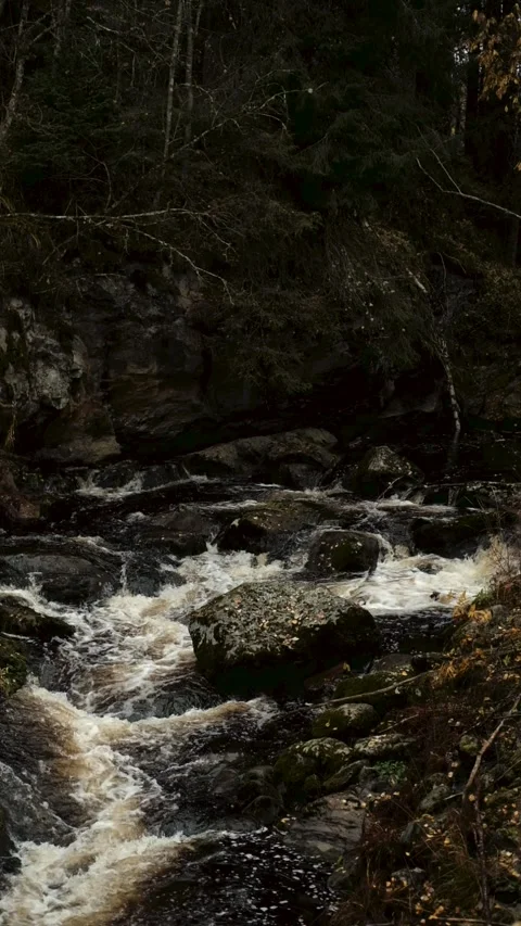 Rocky forest river, vertical video Video stock 319963407