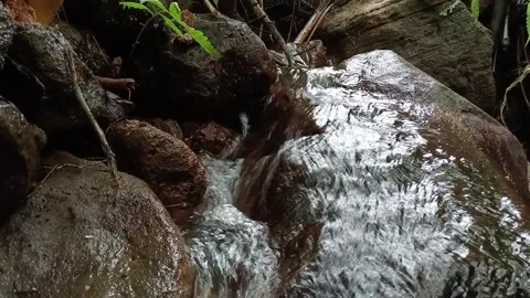 Rocky Forest Stream Flow – Natural Water Movement Close Up Stock Footage 329781203