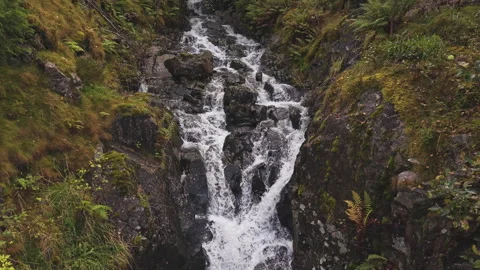 Rocky Forest Stream Flowing Through Lush Norwegian Nature Stock Footage 345756065