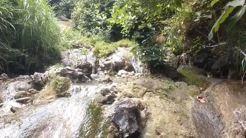 Rocky Forest Stream Stock Footage 331786367