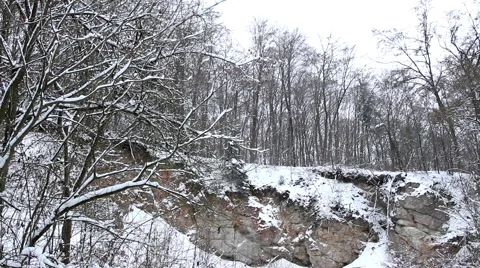 Rocky forest in winter Stock Footage 48986336