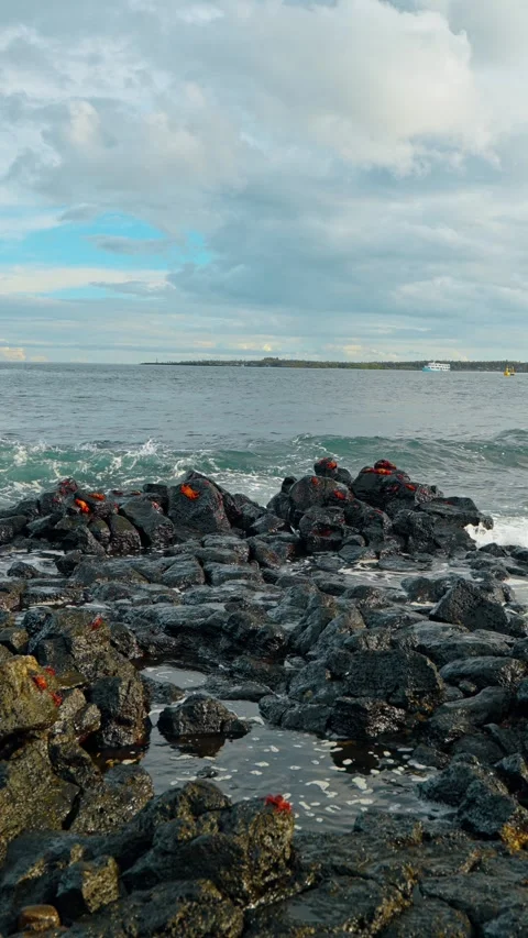 Rocky Galapagos shore beneath a clouded sky. Small waves reach black lava rocks Stock Footage 346259064