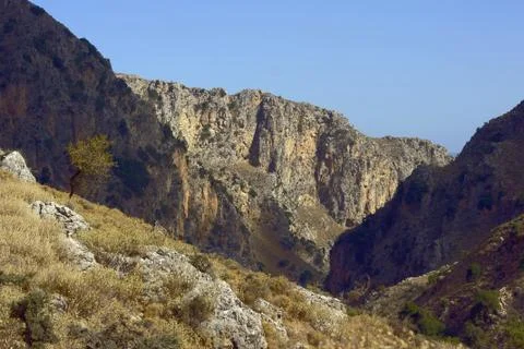 Rocky gorge Stock Photos