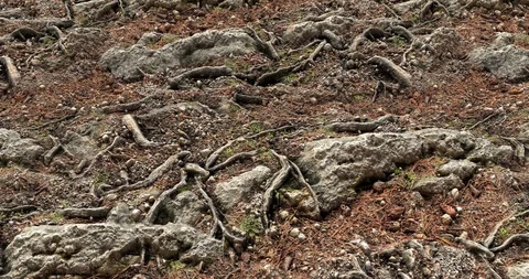 Rocky Ground Loop 스톡 동영상 109244324