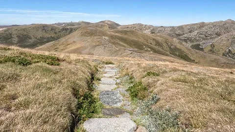 Rocky Hiking Path Through Alpine Terrain on the Main Range, Mount Kosciuszk.. Stock Footage 312062578