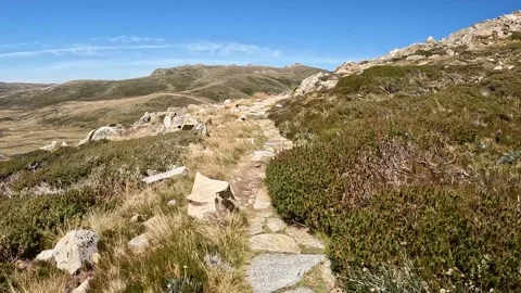Rocky Hiking Path Through Alpine Terrain on the Main Range, Mount Kosciuszk.. Stock Footage 312062638