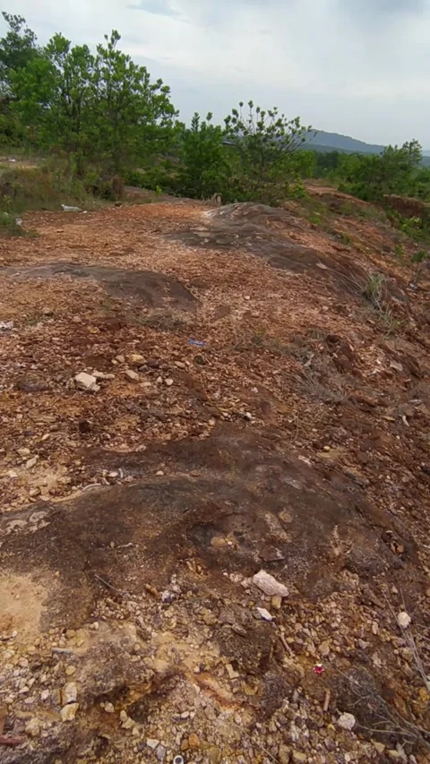 Rocky hill forest view Stock Footage 336045289