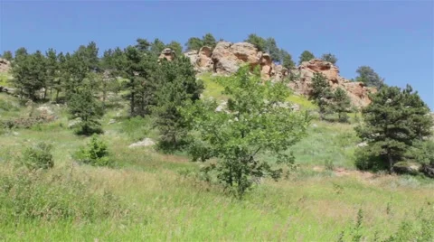 Rocky Hill in Grassy Forest Stock Footage 47745236