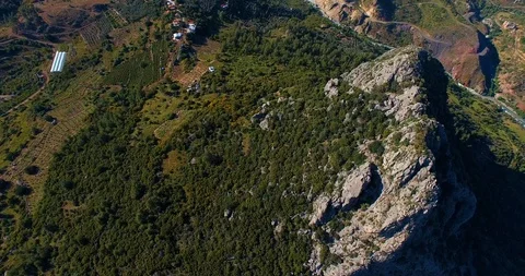 Rocky Hill Surrounded by Pine Forest Aerial View Stock Footage 130081796