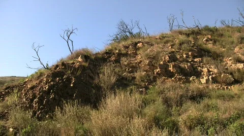Rocky Hillside In California Chaparral Stock Footage
