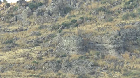 Rocky Hillside Stock-Footage 121262389