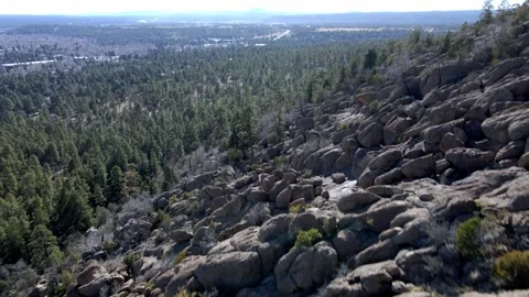 Rocky Hillside Overlooking Dense Pine Forest – Aerial Landscape View Video stock 304090037