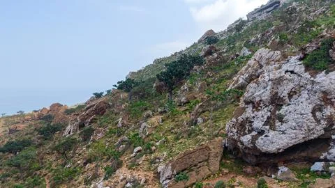 Rocky Hillside with Sparse Vegetation Stock Photos