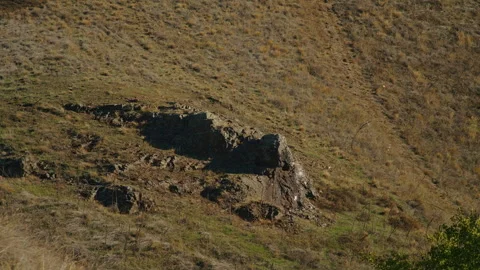 Rocky hillside with sparse vegetation under sunlight. Dry terrain and geological Stock Footage 297469354