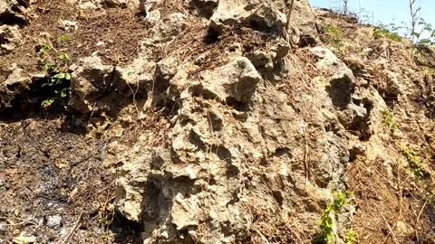 Rocky Hillside Terrain Vidéo 341797212