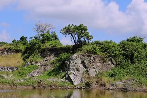 A rocky hillside with a tree in the middle Stock Photos