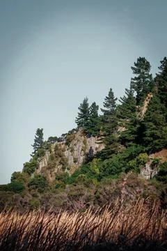 Rocky hillside with trees Stock Photos
