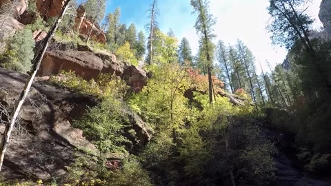 Rocky Hillside With Trees- West Fork Trail- Sedona AZ Stock Footage 312364130