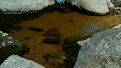 Rocky Inlet Surrounded by Dense Jungle Vegetation Vídeo Stock 342578095