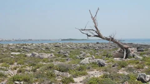 Rocky island and sea Stock Footage