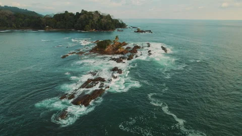 Rocky islet with palm tree surrounded by turquoise waves off Dominicalito beach Stock Footage 345536447