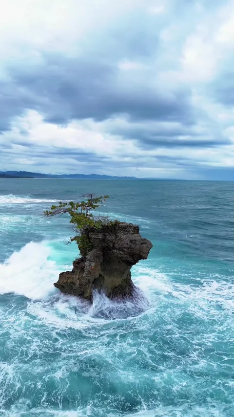 Rocky islet with tree in rough turquoise ocean waves Stock Footage 339516368