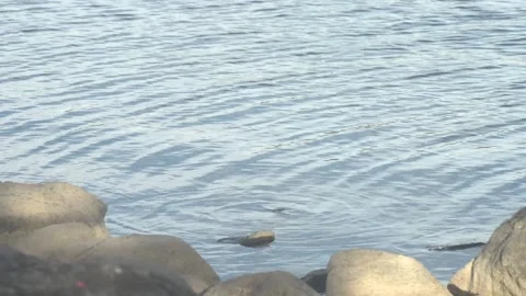Rocky Lake shore Stock Footage 193992863