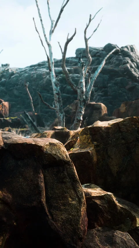 Rocky landscape with dead tree at the top of a hill during daylight Stock Footage 346755656