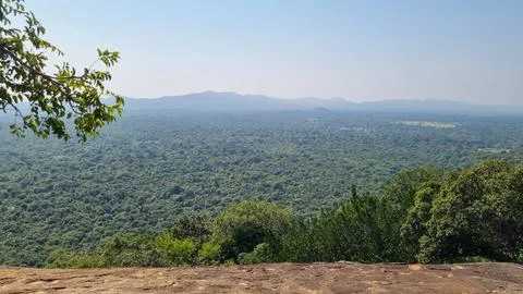 Rocky landscape filled with lush greenery in Pidurangala Rock showcasing natu Foto stock