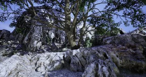 Rocky landscape with a large tree under a clear blue sky Stock Illustration