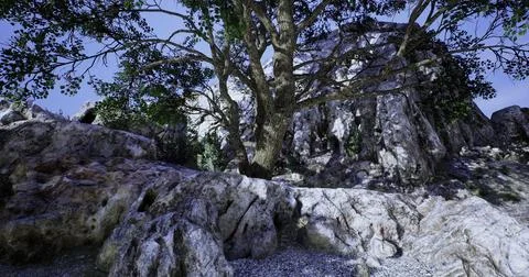 Rocky landscape with a large tree under a clear daylight sky Stock Illustration