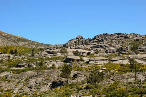 Rocky landscape Stock Photos