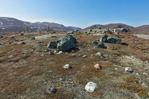 Rocky landscape. Stock Photos