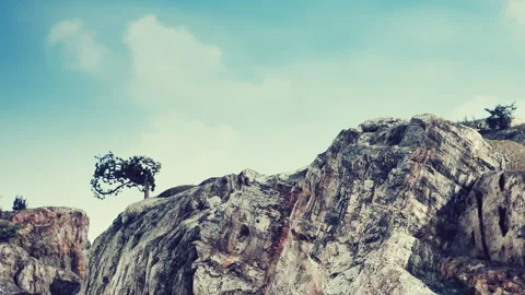 Rocky landscape with a single tree under a blue sky in a natural setting Stock Footage 340025917