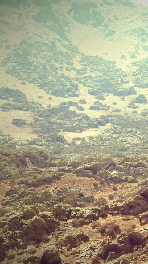 Rocky landscape with sparse vegetation in a dry setting during daylight hours Stock Footage 341237603