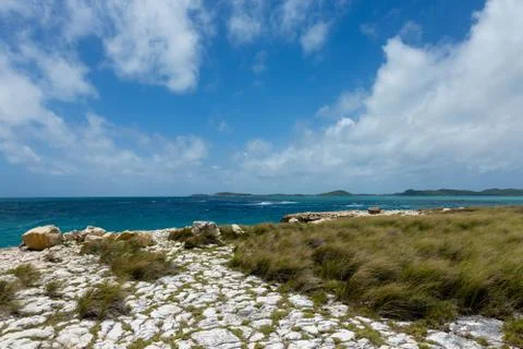 Rocky limestone coastline at devil's bridge antigua Stock Photos