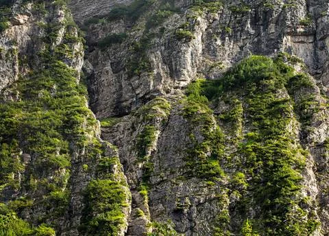 Rocky mountain background Stock Photos